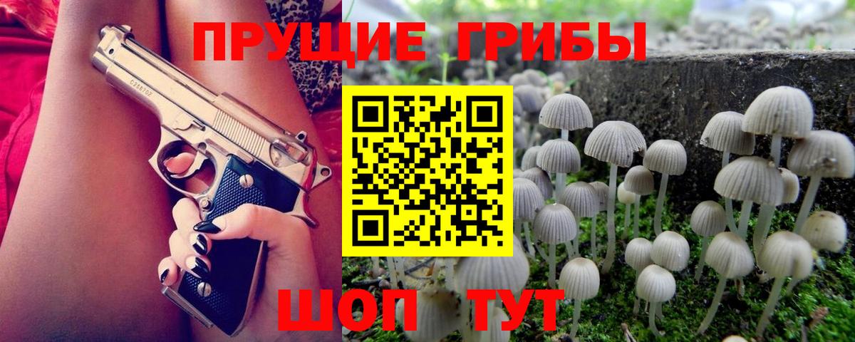Псилоцибиновые грибы Psilocybe Котовск